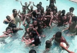 Projeto Colheita