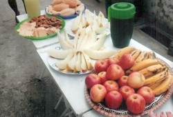 Projeto Colheita