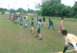 Projeto Colheita