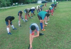 Projeto Colheita