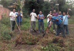 Projeto Colheita