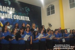 Congresso de Mulheres na Colheita