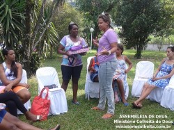 Princesas da Colheita